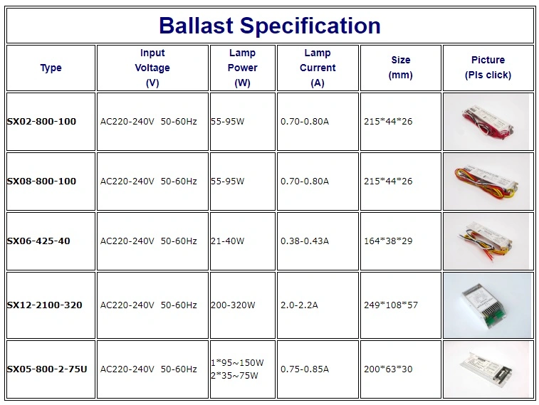 High Performance Electronic Ballast for UV Lamp with Wholesale Price