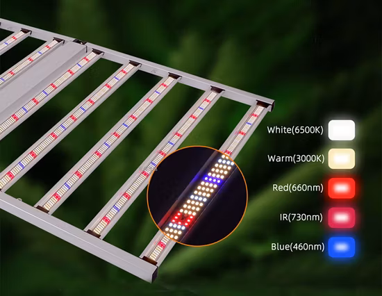 Chinese Direct Samsung Chip LED Grow Light 800W 10 Bars Hydroponics Full Spectrum Fluence Commercial Planting Fixture